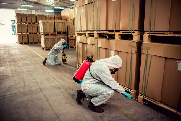 Best Wasp Removal Services  in Plainsboro Center, NJ