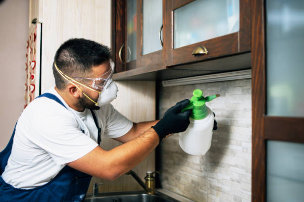 Best Best Pest Control Companies  in Plainsboro Center, NJ