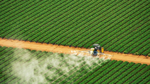 Best Mosquito Control Services  in Plainsboro Center, NJ