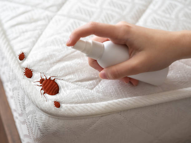 Professional Pest Control in Plainsboro Center, NJ
