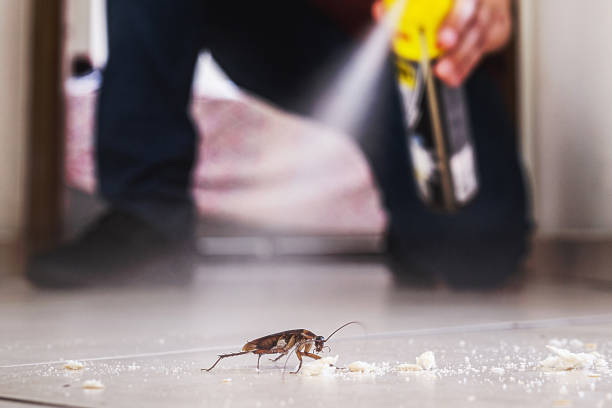 Best Best Pest Control Near Me  in Plainsboro Center, NJ