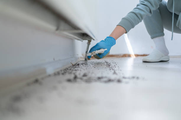 Best Cockroach Control Services  in Plainsboro Center, NJ